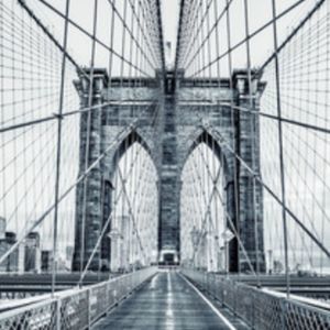 Meet your Posher, Britney